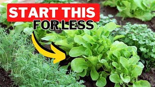 Starting A Productive Garden For Under $30. Gardening Does Not Need To Be Expensive! Save Money 💰