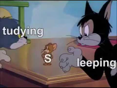 Tom & Jerry New Meme || Funny Study Vs Sleeping Meme - YouTube