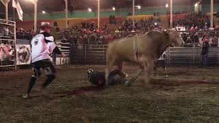 Bull Riding at the Hillsdale County Fair