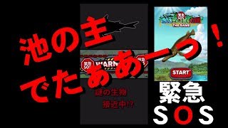 幻の魚 怪物魚にもあえる！生き物図鑑がマニアックな　池の水ぜんぶ抜く　大人気番組　加藤先生監修２０１９ゲーム