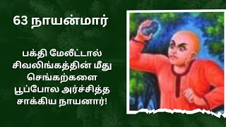 63 நாயன்மார் திருக்கதைகள் ! | 31. சாக்கிய நாயனார் || 63 Nayanmar | 31. Sakkiya Nayanar