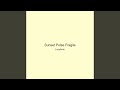 Sunset Pulse Fragile