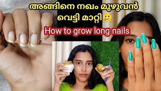 🔥ഈസിയായി എങ്ങനെ പെട്ടെന്ന് നഖം വളർത്താ൦ Fast nail growth💪|| Malayalam||Sruthystipsandvlog