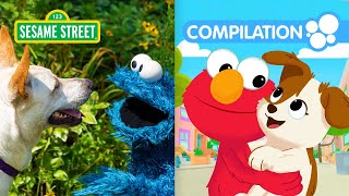 Sesame Street: Elmo's Pets Compilation | 90 Minutes