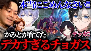 【LoL】対面チョガスをしっかりクソデカチョガスに育て上げるかみとwwww【kamito/切り抜き】【釈迦/ボドカ/白雪レイド/如月れん】