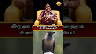 வீட்டு முன் ஒற்றை காகம் கரைந்தால்  அலட்சியம் செய்ய வேண்டாம்