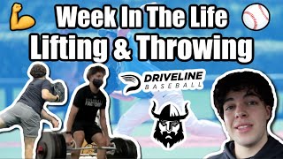 My Weekly Lifting and Throwing Routine! | Road To 90 MPH Ep.6