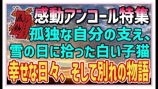 【感動する話】感動アンコール特集【泣ける話】孤独な自分の支え、雪の日に拾った白い子猫。幸せの日々、そして別れの物語・・ #感動物語  #スカッとする話 #ラジオドラマ#朗読