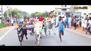 விடா முயற்சி விஸ்பரூப வெற்றி... 🔥மீண்டும் முதலாவதாக நெல்லி ஆண்டவர் துணை... கே 🔥ஜி 🔥எப்