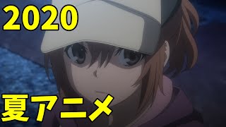 [アニメ] 2020年夏アニメをレビューする（11・12話時点）前編