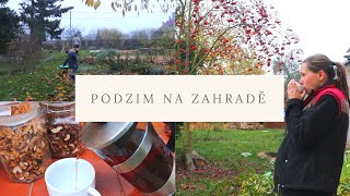 Podzimní práce na zahradě, tipy na knížky, vlog 6