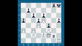 ChessMaster GME: Nguyen vs Waitzkin J