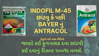 ખેડૂત મિત્રો માટે અગત્યનું સોલ્યુશન. Indofil M 45 Vs. Bayer Antracol Fungicide Gujarati #farmersinfo