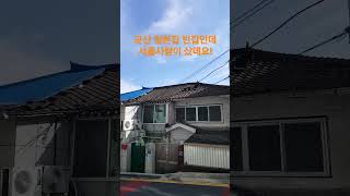 군산 일본집을 서울 사람이 저렴하게 샀데요! 재미있는 Shorts 시골집 옛날집 여행 한옥 오지마을