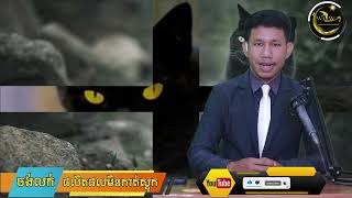 ជាការពិតទេ!រឿងពិតទាក់ទងជាមួយនឹងឆ្មាសម្បុរខ្មៅ!