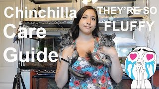 Chinchilla Care Guide // Cage Set Up & Feeding