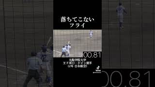 滞空時間6秒超！大阪学院大学  エドポロケイン選手（2年 日本航空）のレフトフライがすごい！《2023関西六大学野球  春季リーグ戦》#shorts #大学野球2023 #野球好き