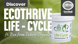 Ecothrive Life Cycle ft. Ben from Indoor Organics | DISCOVER