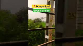 Dunguripali|green odisha