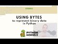 Representing binary data with bytes in Python