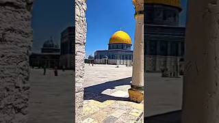 ✨❤️🤲🏻🕌 masjid apsa #shortvideo #youtubeshorts #allah #subhanallah #islamicvideo #video #short