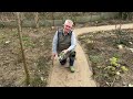 how to get more snowdrops in the garden. i m taking you on a tour in my winter and springarden.