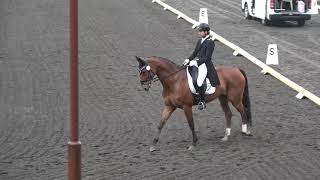 第5８回東都学生馬術大会　学生賞典馬場馬術競技　3年　中込樹＆桜頂