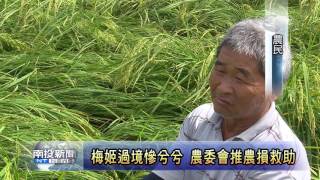 南投新聞 梅姬颱風農損補助起跑