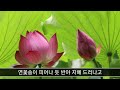 찬불가 꽃으로 앉으신 님 이조