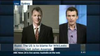 The blame game over Wikileaks
