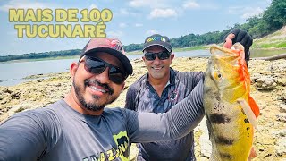 MAIS DE 100 TUCUNARÉ, MUITA AÇÃO, JA VIU UM LUGAR ASSIM? PESCA ESPORTIVA NO AMAZONAS.