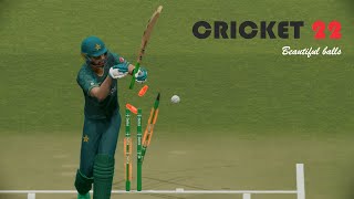 Cricket 22 - Right spot