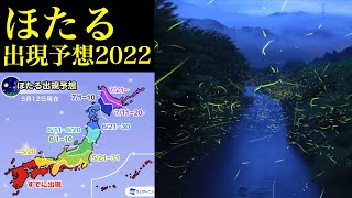 【ほたる出現予想2022】今年のホタルの出現は例年並〜早い予想