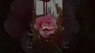 Surah Falak in beautiful voice #islamicscripture #reciters #beautiful #quranmajeed #allahloves