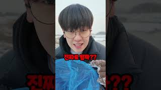 눈으로 장미 만들기 + 잠자리채로 눈사람 만들기??