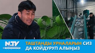 Таштанды урналарын сиз да койдуруп алыңыз \\\\  Азыркынын  Азаматтары