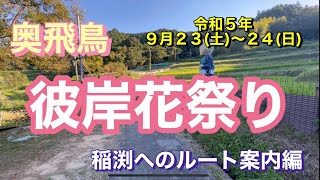 奥飛鳥〜稲渕編〜　　　　　　　　　　『令和５年度　彼岸花祭り』へのルート案内　#明日香村  #旅行