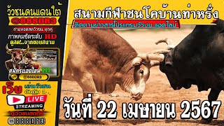 #ถ่ายทอดสดวัวชนวันนี้ สนามกีฬาชนโคบ้านท่าหรั่ง วันที่ 22 เม.ย. 67 #วัวชน #วัวชนวันนี้ #ถ่ายทอดสดวัว