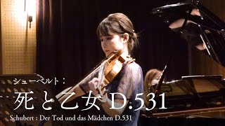 永遠の安息【シューベルト / 死と乙女 D.531　Schubert / Der Tod und das Mädchen D.531】