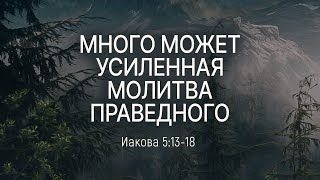 Много может усиленная молитва праведного | Иак. 5:13-18 || Дмитрий Шпилько