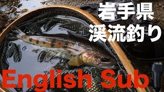 岩手県 渓流釣り 内陸河川 ~晩秋のサビヤマメ~ 2019年9月16日 Fishing in Iwate, Japan