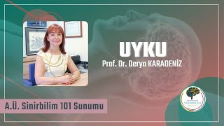 Uyku Fizyolojisi Uyku-Uyanıklık Regülasyonu ve Uyku Hastalıkları Prof. Dr. Derya Karadeniz