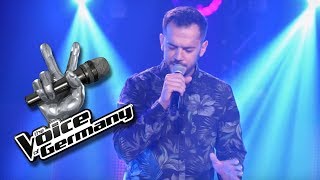 Adel Tawil - Ist da jemand | Pishtar Dakaj | The Voice of Germany 2017 | Blind Audition