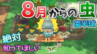 【あつ森】8月(南半球)から採れる虫、ハンミョウを徹底解説！出現時間や場所・条件など捕まえるコツなどを紹介！実は意外とレア？なハンミョウの値段も紹介します！【虫図鑑 コンプ】