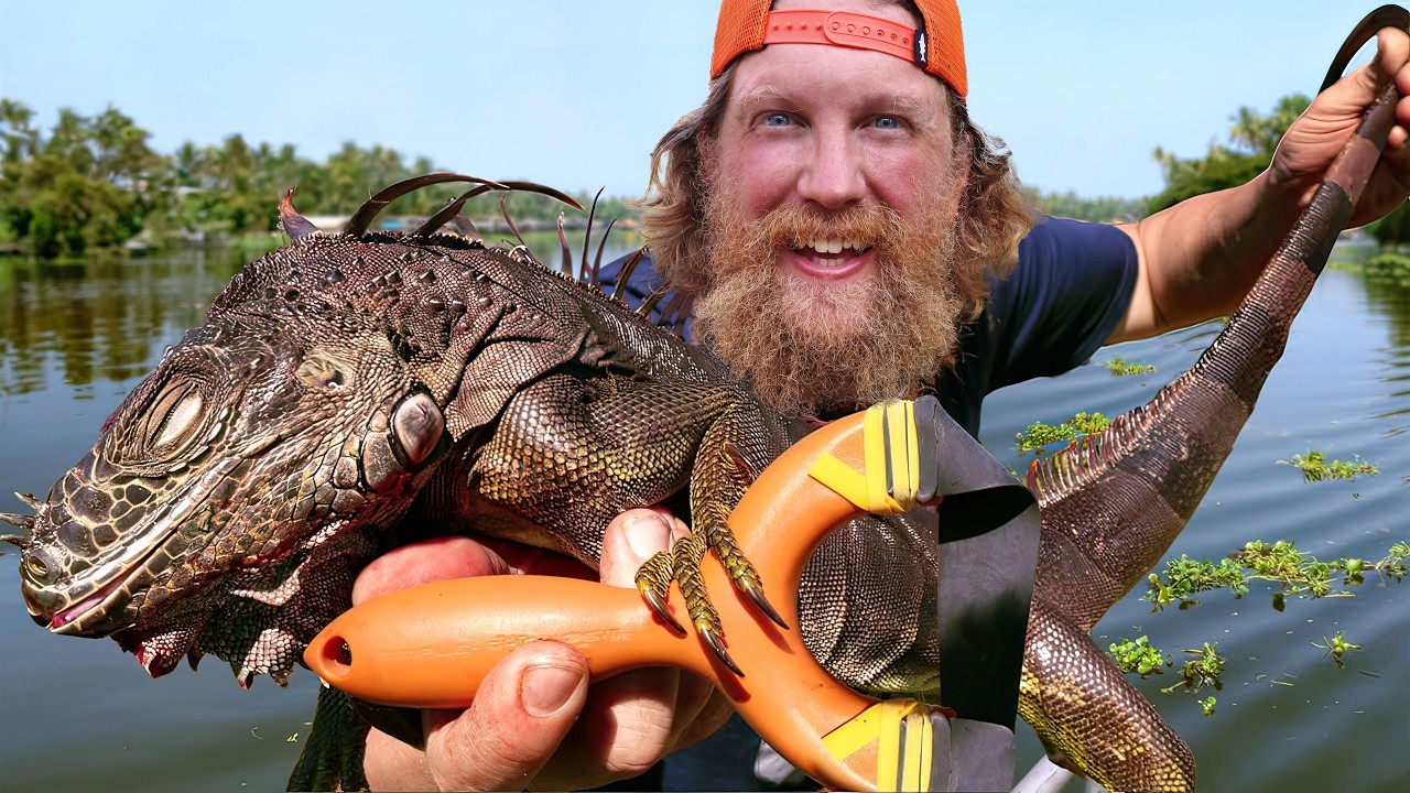 Invasive Species Iguana Slingshot Catch Cook Florida Keys Episode 4