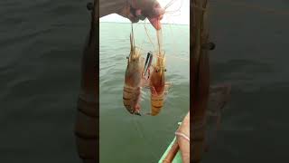 Best Fishing🐟 video Amazing Fishing shorts Fishing 🐟 Tik tok🇮🇳india  #shorts#firtsvlog #myfirstblog