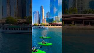 The Summer That Changed Chicago Forever #chicago #youtubeshorts #trending #shorts