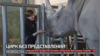 Цирк без зрителей. Новости. 23/03/2020. GuberniaTV