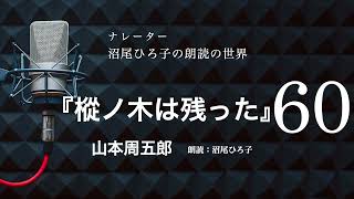 【朗読】山本周五郎『樅ノ木は残った』［60］ 朗読：沼尾ひろ子