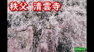 秩父県　秩父市　清雲寺　070410